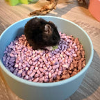 Sand Bath / Dig Box Round Sand Bath (With or Without Lid) RoseLark Pet Products
