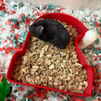 Sand Bath / Dig Box Santa Hat Sand Bath & Dig Box RoseLark Pet Products