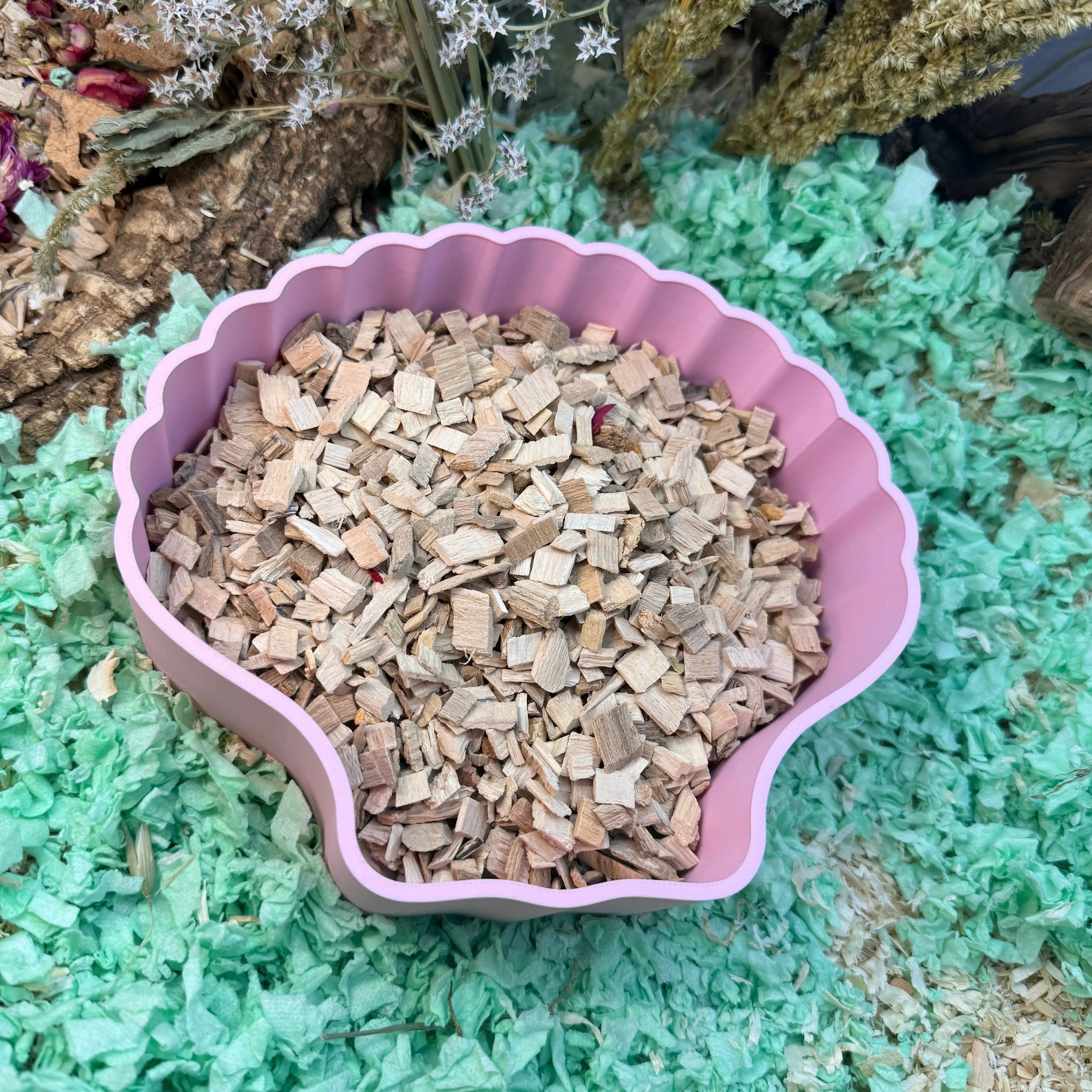 Sand Bath / Dig Box Sea Shell Sand Bath & Dig Box RoseLark Pet Products