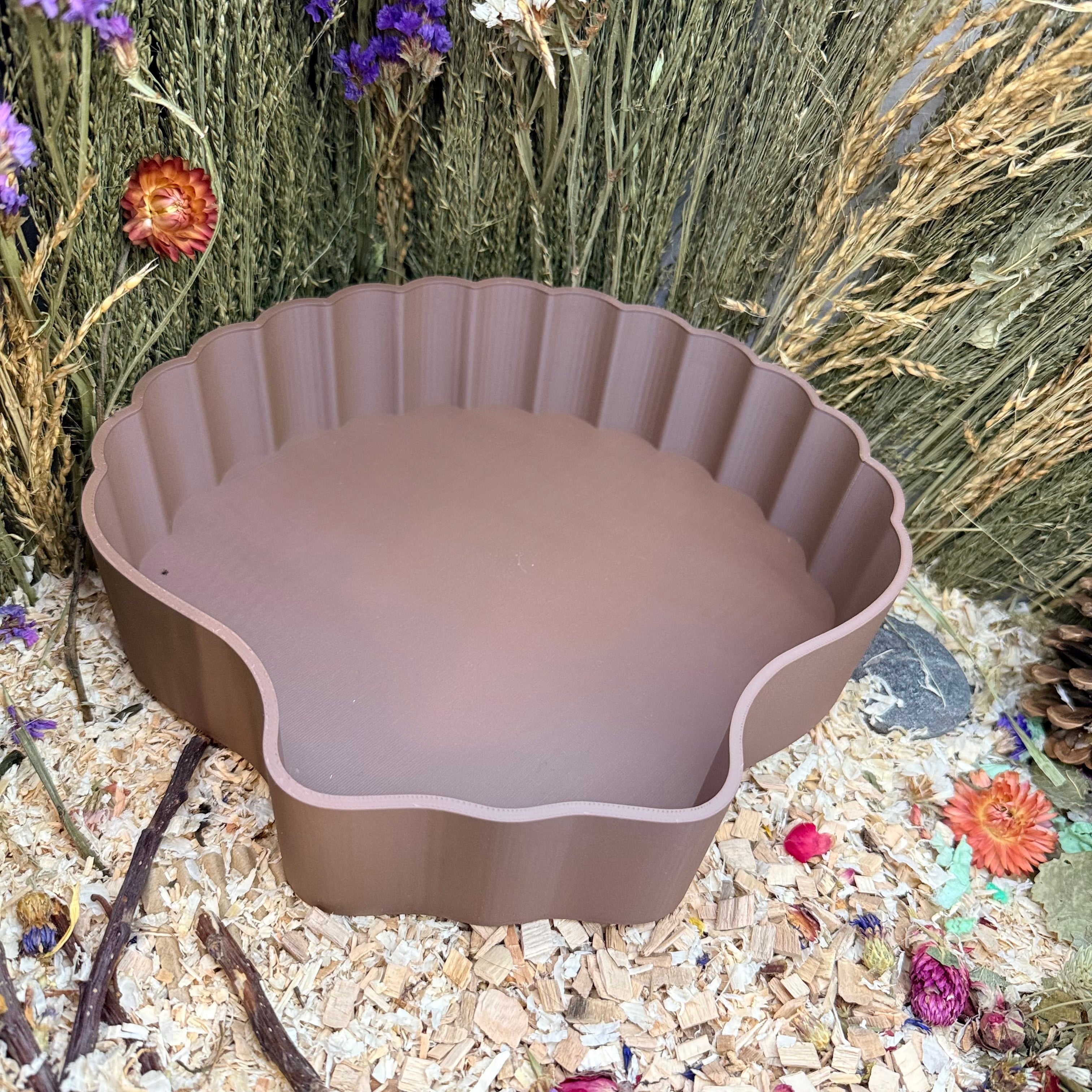 Sand Bath / Dig Box Sea Shell Sand Bath & Dig Box RoseLark Pet Products