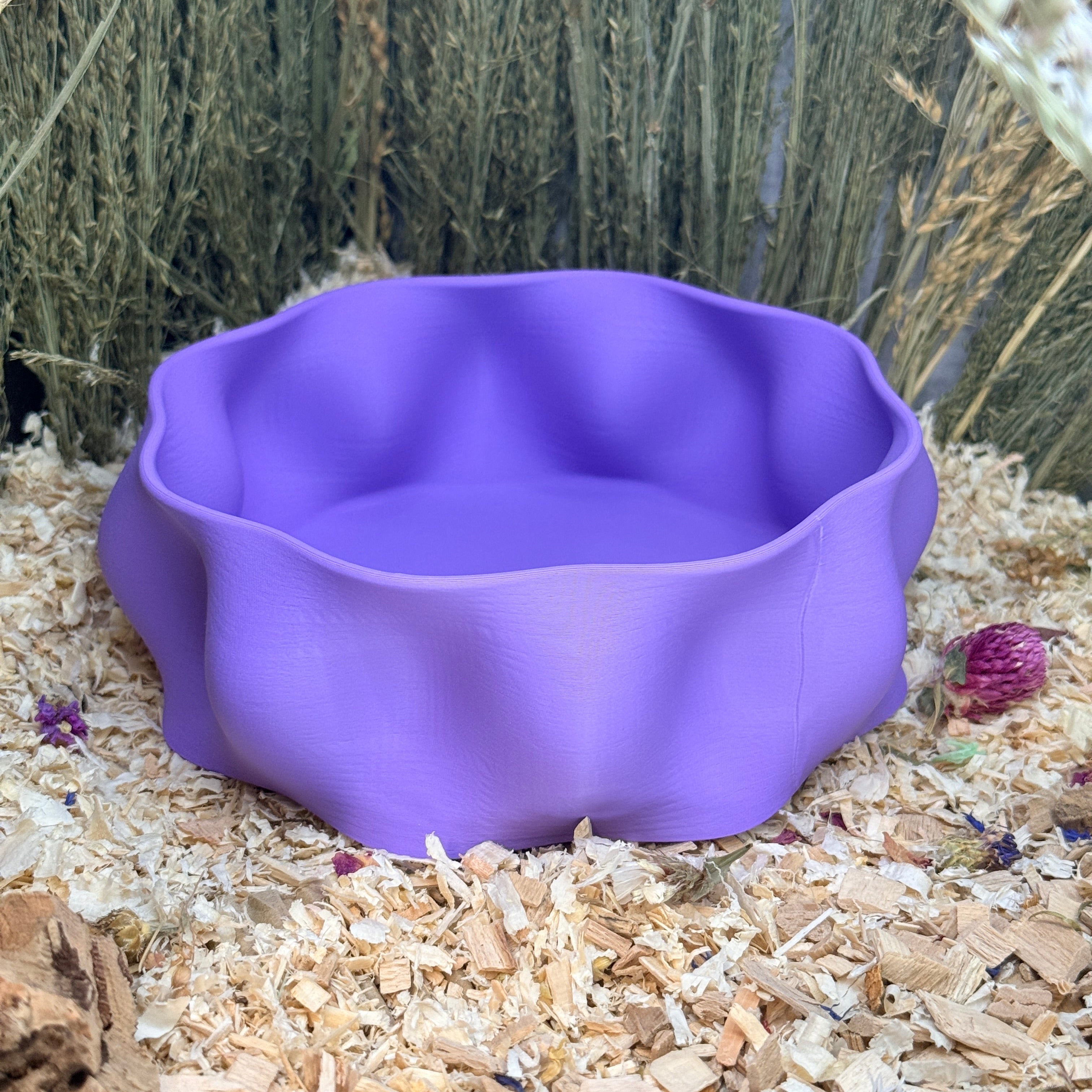 Sand Bath / Dig Box Wavy Sand Bath & Dig Box RoseLark Pet Products