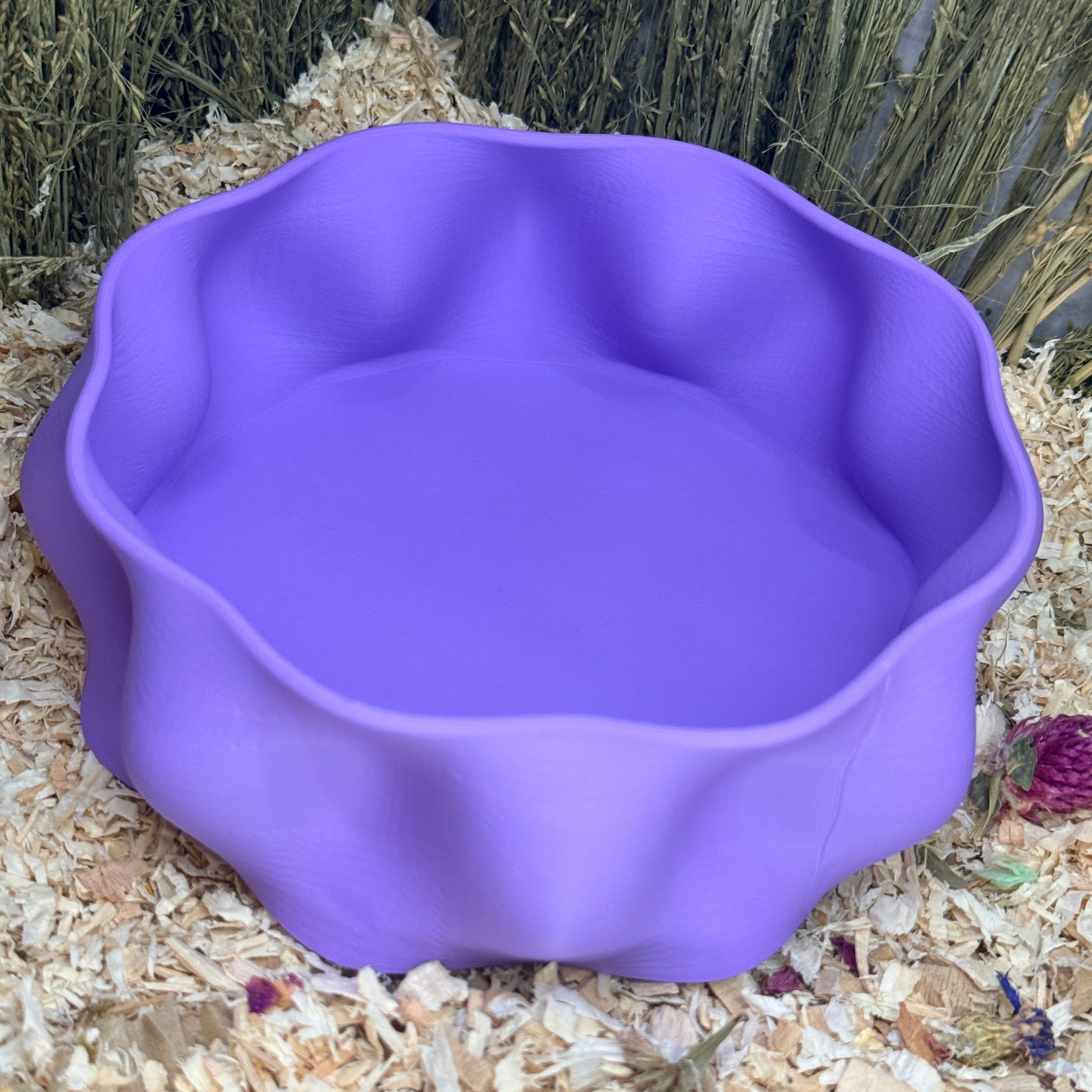 Sand Bath / Dig Box Wavy Sand Bath & Dig Box RoseLark Pet Products