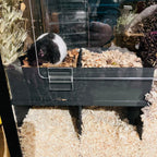 Small Pet Hide 2 - Chamber Hide with Dig Box RoseLark Pet Products