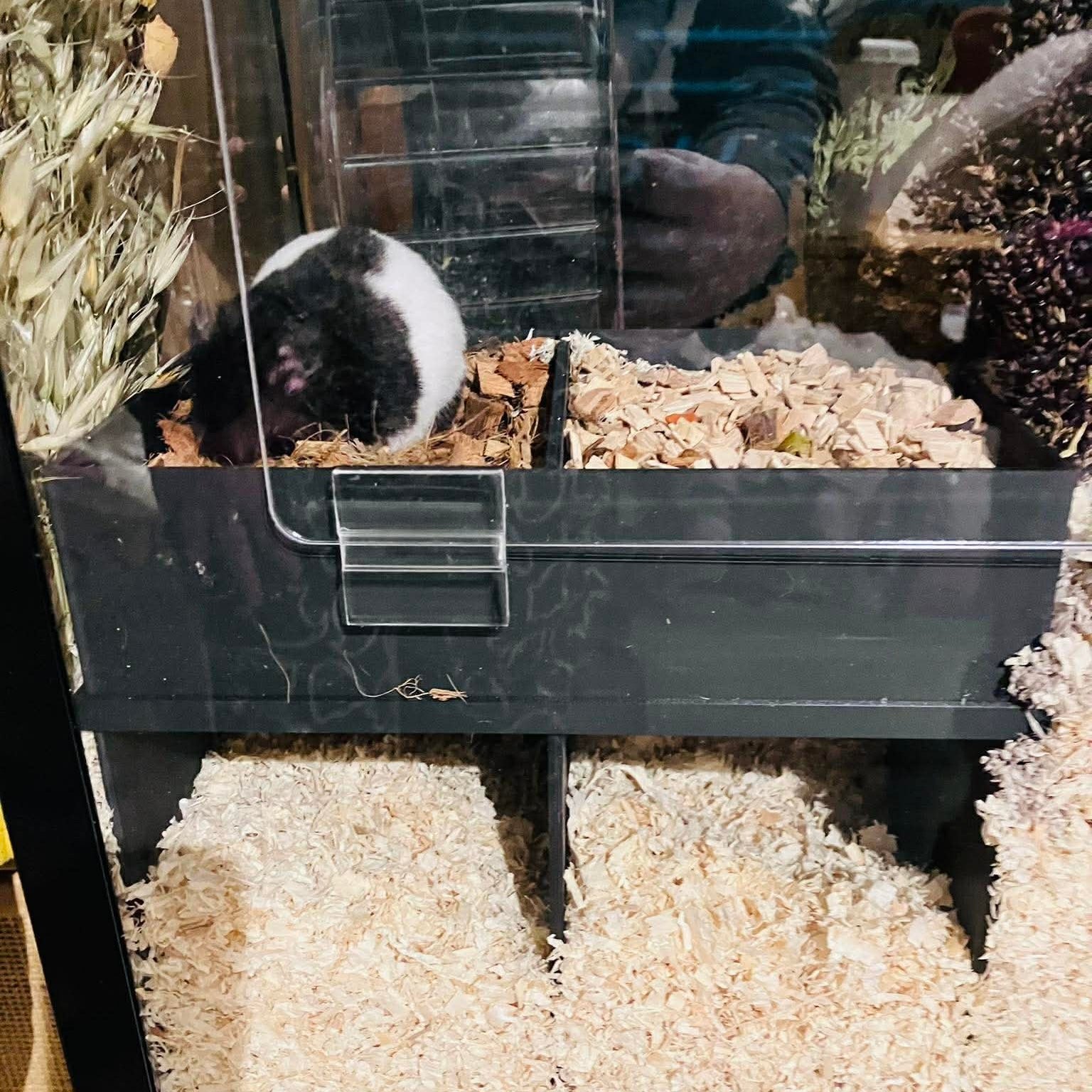 Small Pet Hide 2 - Chamber Hide with Dig Box RoseLark Pet Products