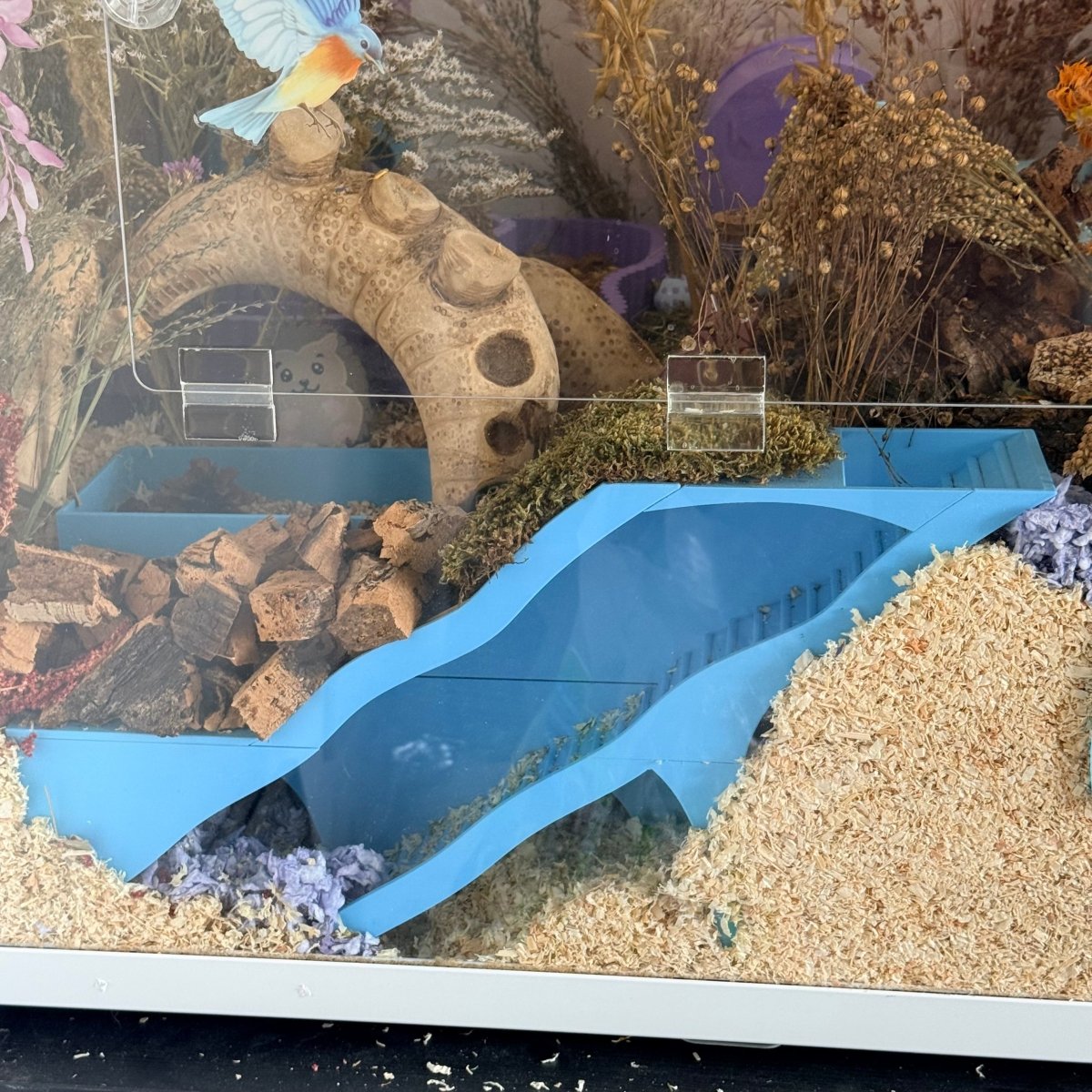 Small Pet Hide 4 Chamber Peep hide with burrow starter | RoseLark