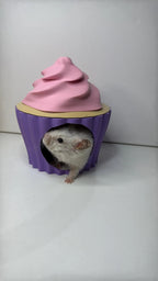 Small Pet Hide Cupcake Hide - Open Base RoseLark Pet Products