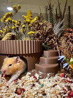 Small Pet Hide Enchanted Garden Hide RoseLark Pet Products
