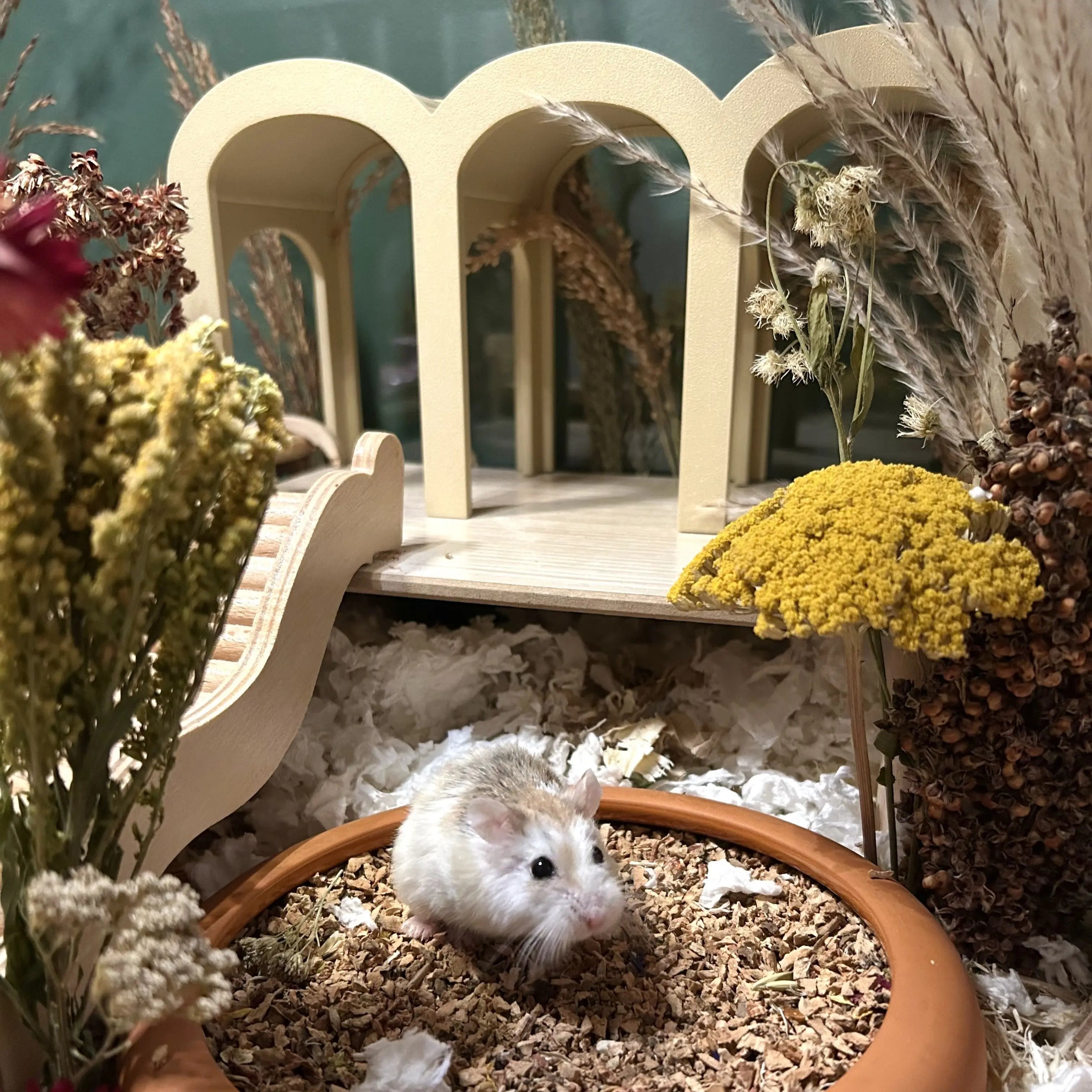 Small Pet Hide Garden Arches Hide RoseLark Pet Products