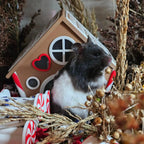 Small Pet Hide Gingerbread House Hide RoseLark Pet Products