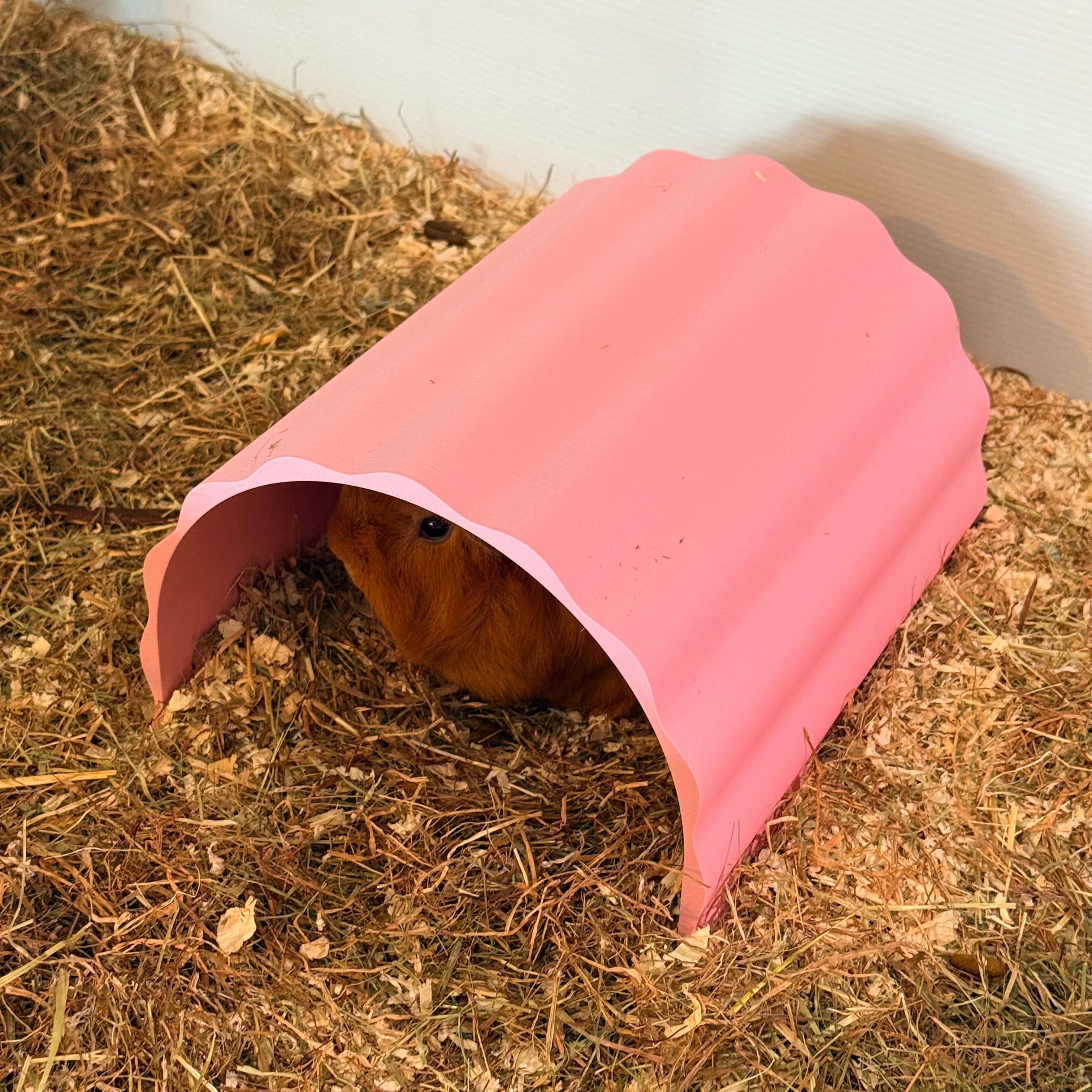 Small Pet Hide Guinea Pig Tunnel Hide - Wavy RoseLark Pet Products