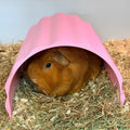 Small Pet Hide Guinea Pig Tunnel Hide - Wavy RoseLark Pet Products