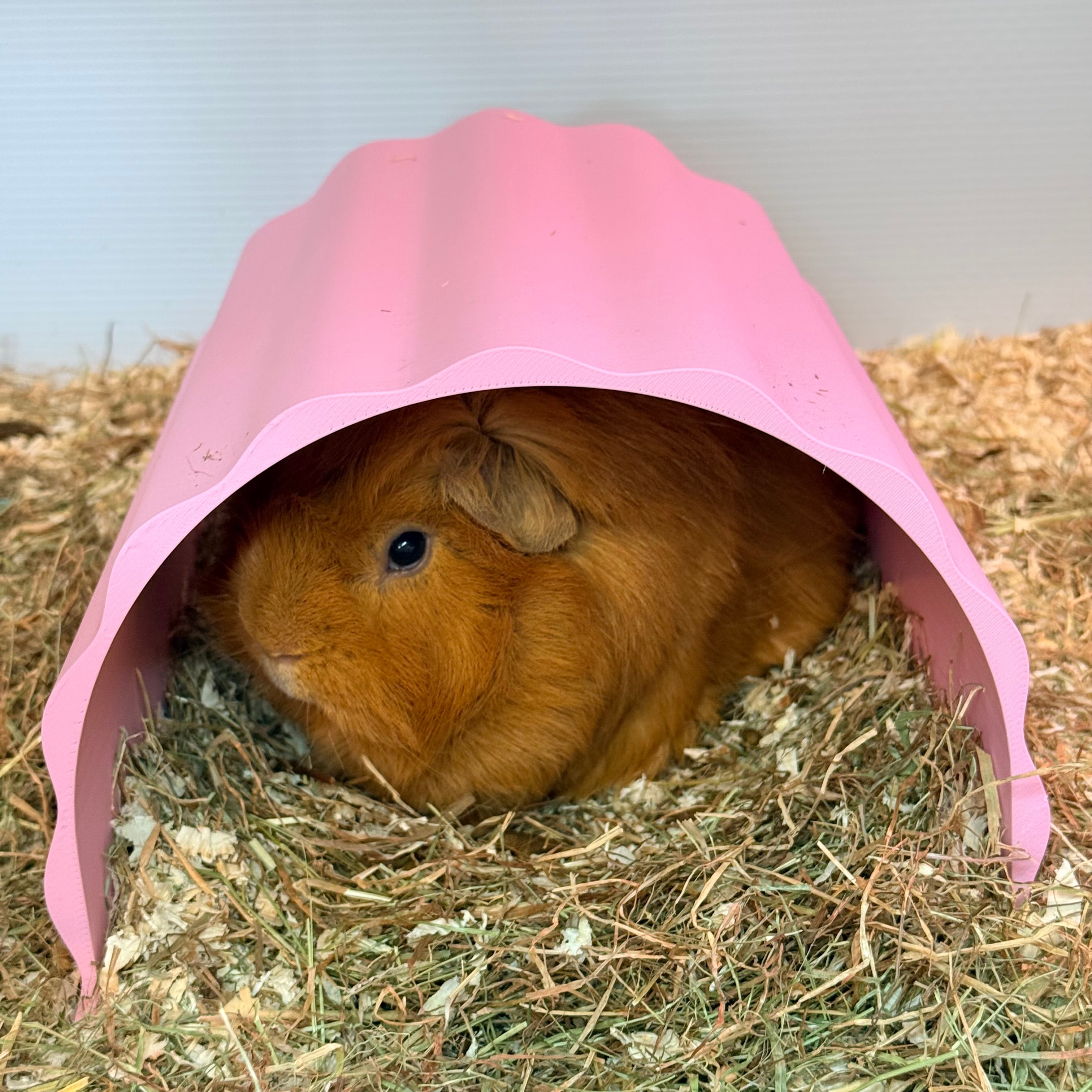 Small Pet Hide Guinea Pig Tunnel Hide - Wavy RoseLark Pet Products