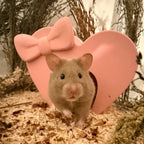 Small Pet Hide Heart Hide RoseLark Pet Products