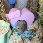 Small Pet Hide Heart Hide RoseLark Pet Products