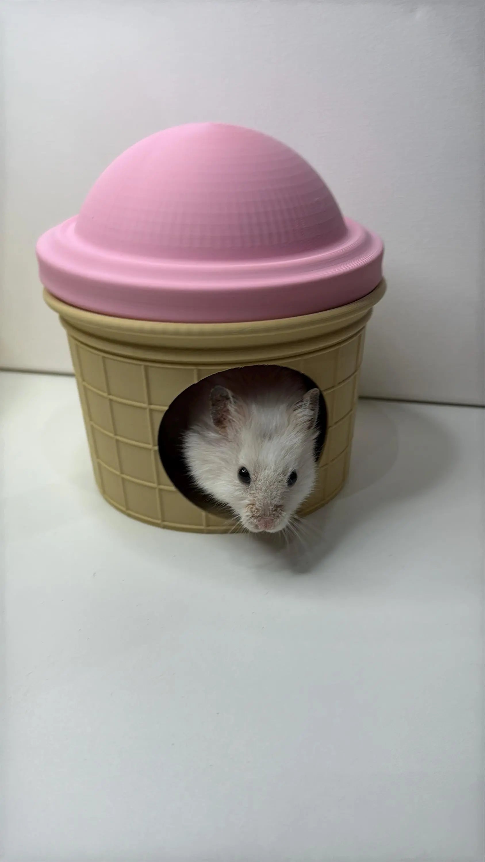Small Pet Hide Ice Cream Hide RoseLark Pet Products