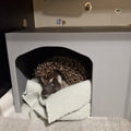 Small Pet Hide Lightweight Hide for Rats, Guinea Pigs and Pygmy Hedgehogs RoseLark Pet Products