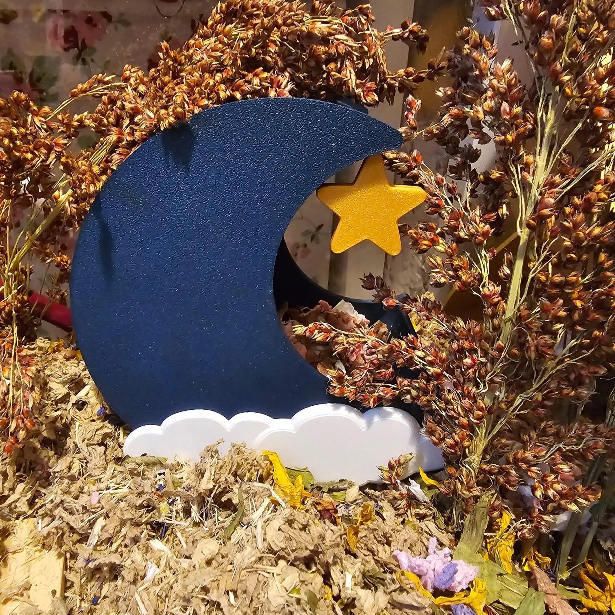 Small Pet Hide Moon Hide & Substrate Container RoseLark Pet Products