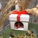 Small Pet Hide Present Hide RoseLark Pet Products