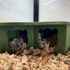 Small Pet Hide Three Chamber Hide with Removable Lid RoseLark Pet Products