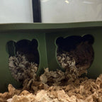 Small Pet Hide Three Chamber Hide with Removable Lid RoseLark Pet Products