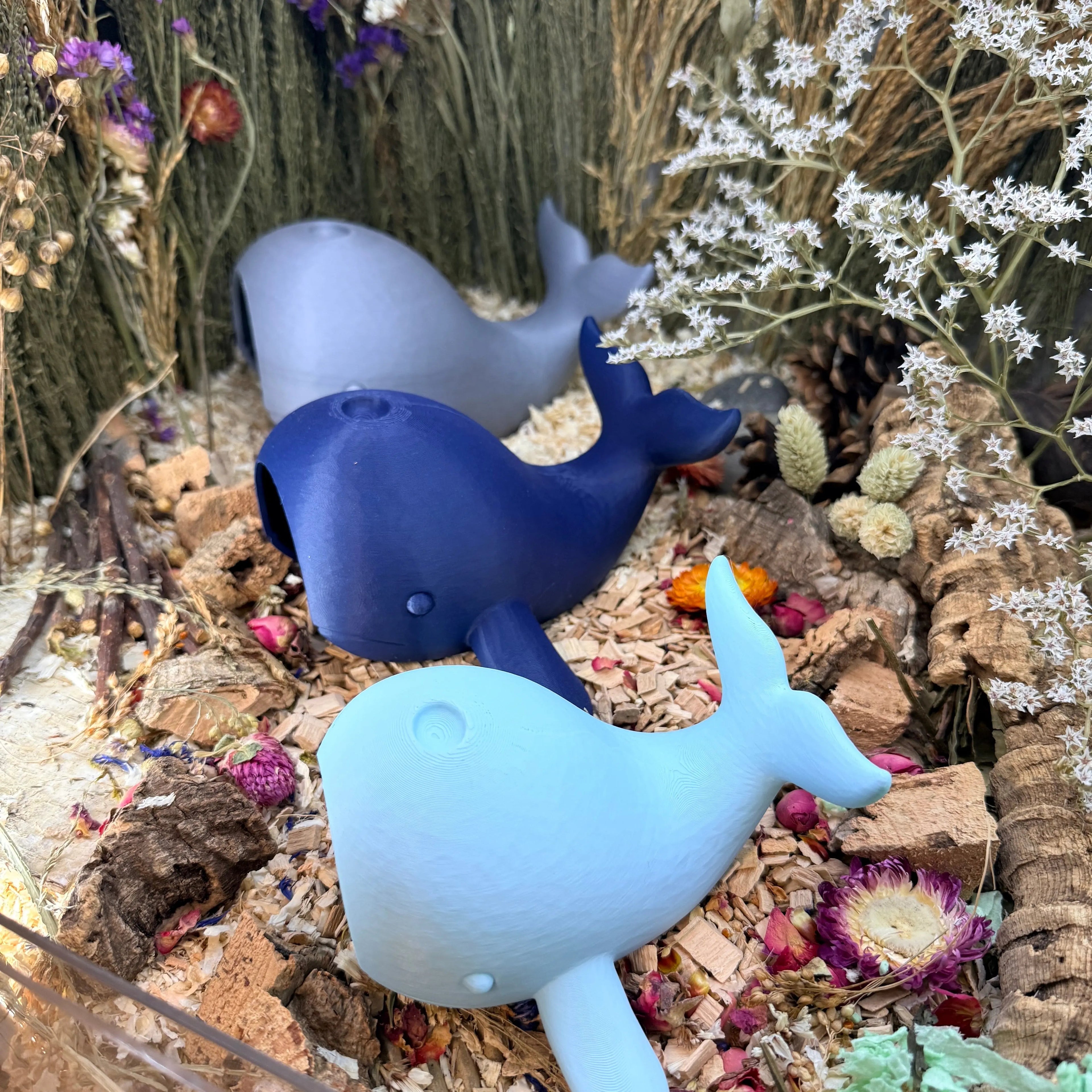 Small Pet Hide Whale Hide RoseLark Pet Products
