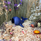 Small Pet Hide Whale Hide RoseLark Pet Products