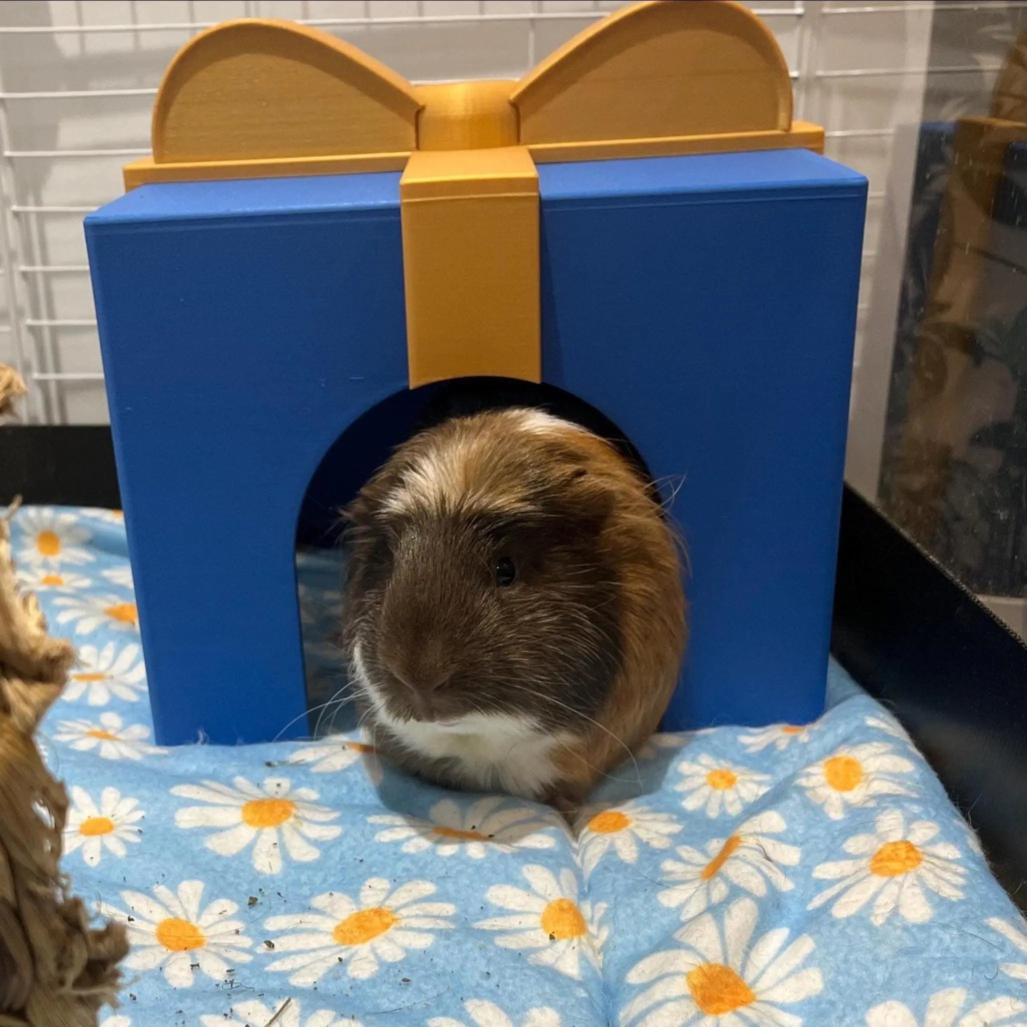 Small Pet Hide XL Present Hidey House RoseLark Pet Products