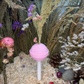 Spray Holder Lollipop Spray holder RoseLark Pet Products
