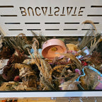 Spray & Substrate Bundle Spray & Substrate Full Enclosure Starter Bundle RoseLark Pet Products