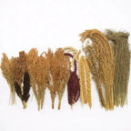 Spray & Substrate Bundle Spray & Substrate Full Enclosure Starter Bundle RoseLark Pet Products